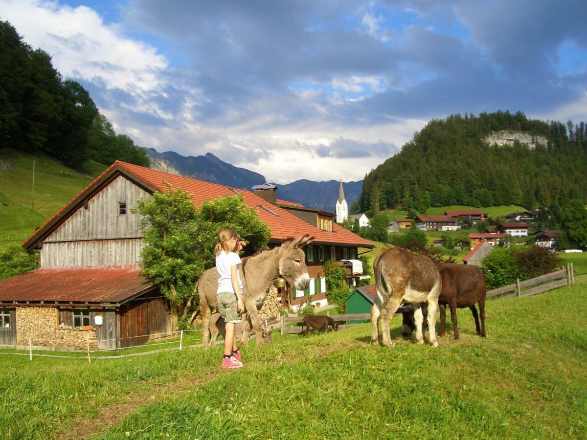 Haus Willi Apartman Oberstdorf Kültér fotó